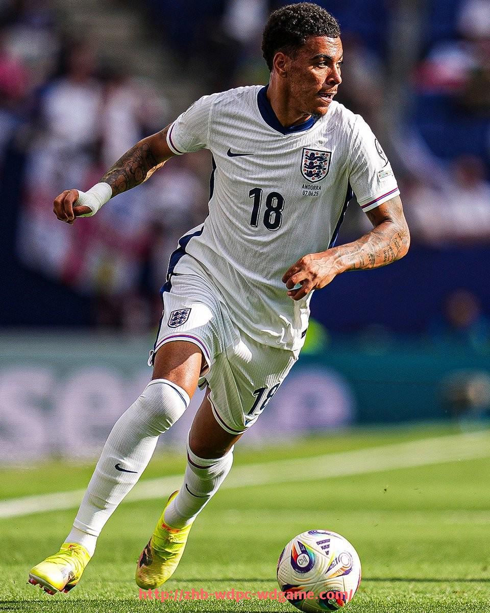 问鼎娱乐官方网站-2025年世俱杯赞助商合同管理实务及风险应对方案解析