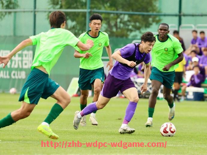 问鼎娱乐官方网站-法甲外援在比赛中的关键技术数据分析报告