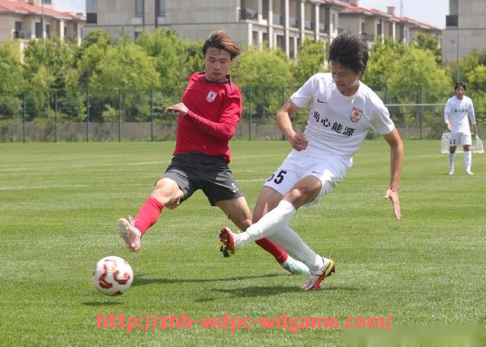 问鼎娱乐官方网站-世俱杯比赛策略分析与执行评估